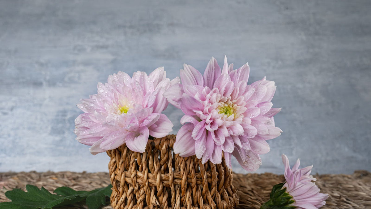 comment-faire-un-decor-champetre Image