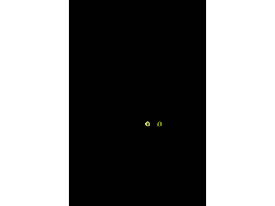 Hoptimist Cat XS Black