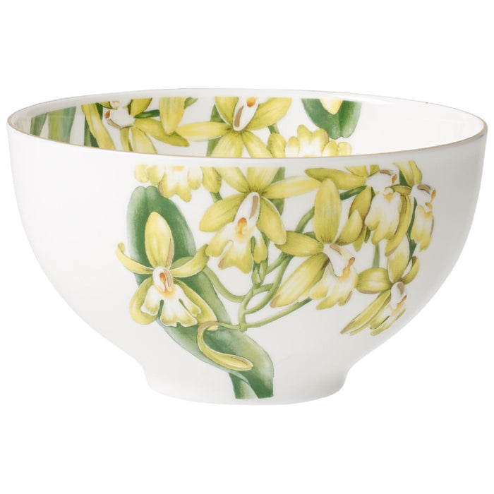 Villeroy & Boch Amazonia Bol
