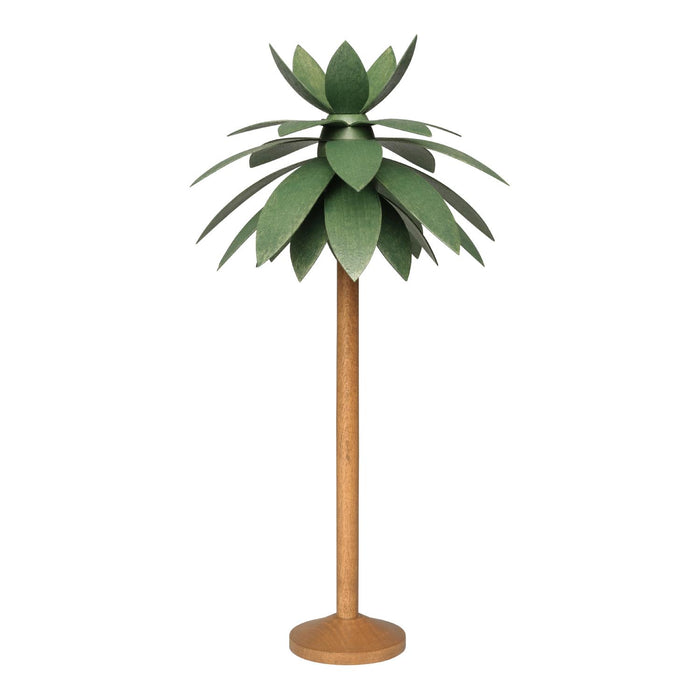 Wendt & Kühn Palme, klein
