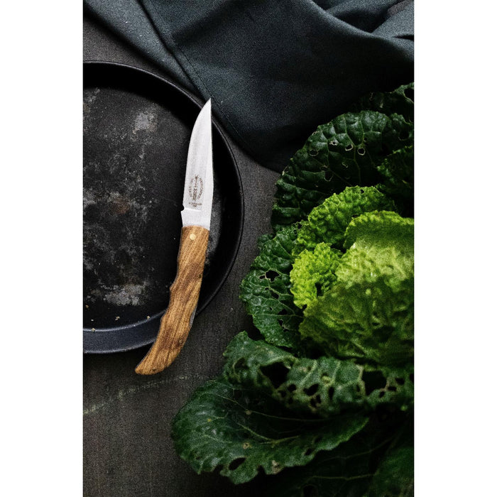 Dick Taschenmesser 9 cm