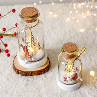 bouteille-de-neige-vintage