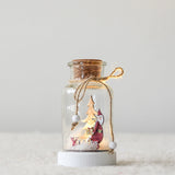 bouteille-de-neige-vintage