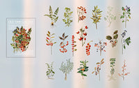 sticker-plante-vintage